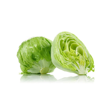 rutrum cursus sem ac sagittis