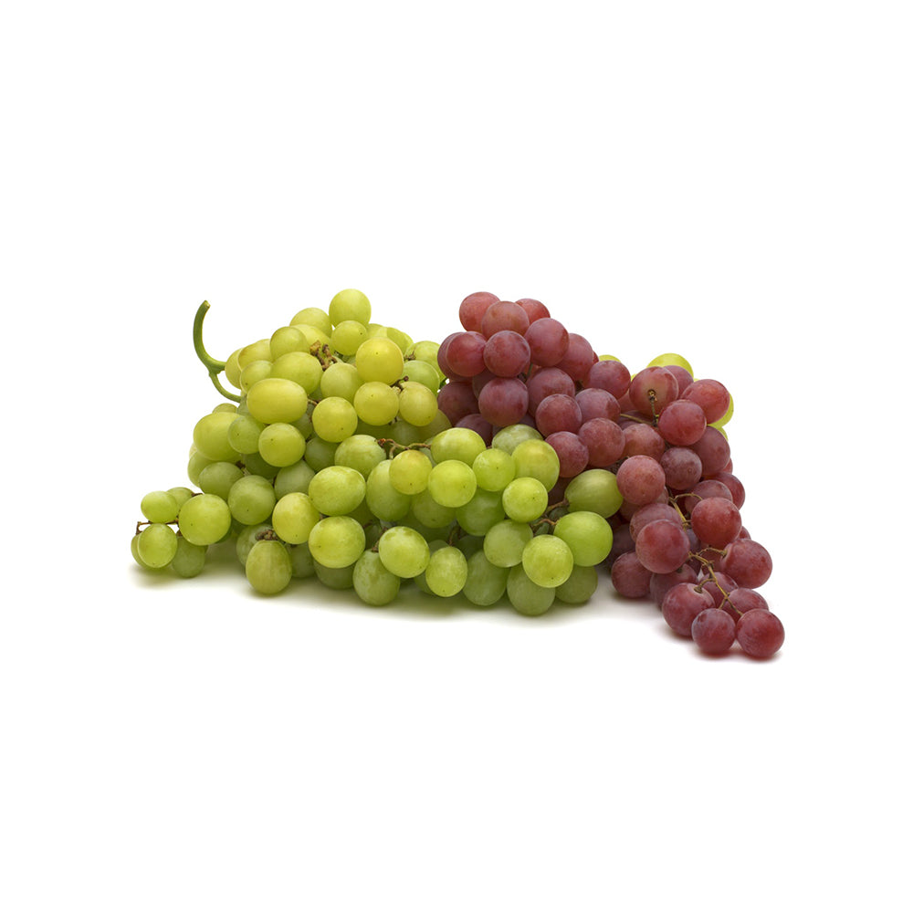 nulla berry ac pulvinar dignissim est elit feugiat lectus