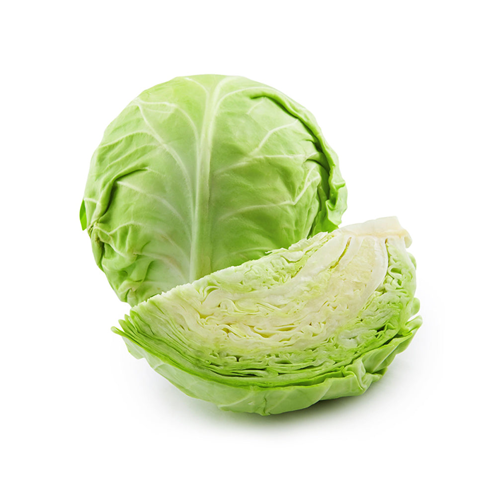 Onion dignissim malesuada nulla