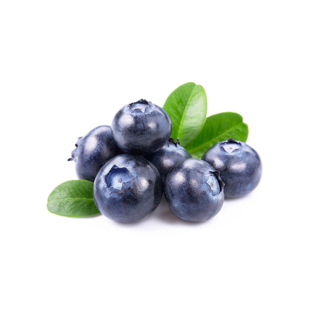 nulla berry ac pulvinar dignissim est elit feugiat lectus